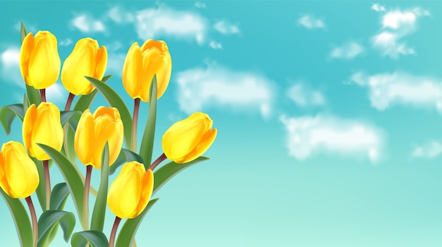 Flores de tulipán amarillo sobre fondo de cielo