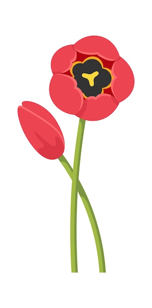 Flores de tulipán Elemento de diseño floral Ilustración vectorial