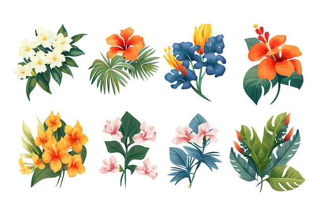 Vector flores vectoriales tropicales ilustración dibujada a mano plana aislada sobre fondo blanco