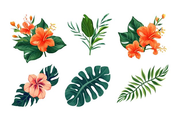 Flores vectoriales tropicales Ilustración dibujada a mano plana aislada sobre fondo blanco