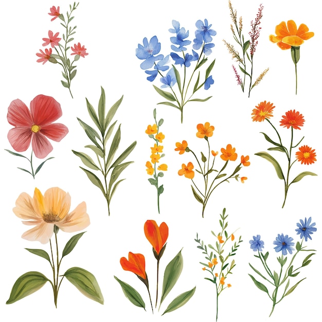 Flores de verano en acuarela