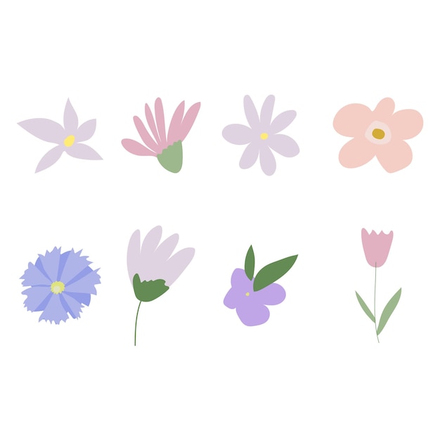 flores de verano dibujadas a mano