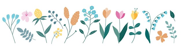 Flores de verano y primavera Conjunto de ilustraciones vectoriales dibujadas a mano aisladas sobre un fondo blanco