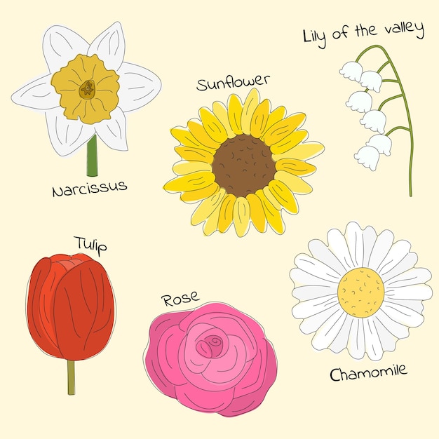 Las flores