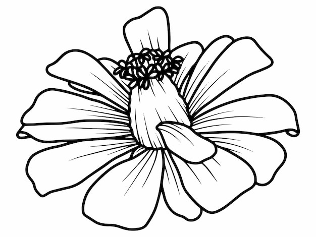 Flower Line Art