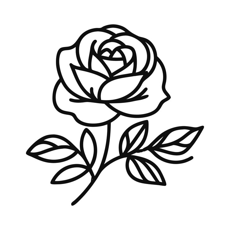 Vector flower rose line art libro de colorear dibujado a mano ilustración botánica con fondo transparente