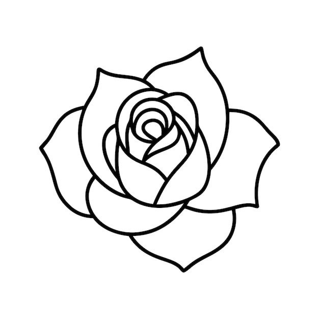 Flower Rose Line Art Libro de colorear dibujado a mano Ilustración botánica con fondo transparente