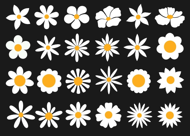 Flower white clipart drawing set Colección de flores de primavera blancas y amarillas como la manzanilla