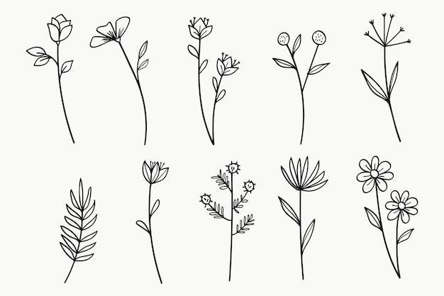 Flowers and Leaves Line Art Colección dibujada a mano Ilustración vectorial