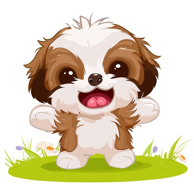 Fluffy shih tzu cuenta momentos de felicidad