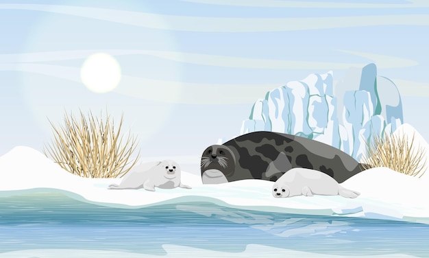 Una foca arpa con dos cachorros se encuentra a orillas del paisaje norte del Océano Ártico