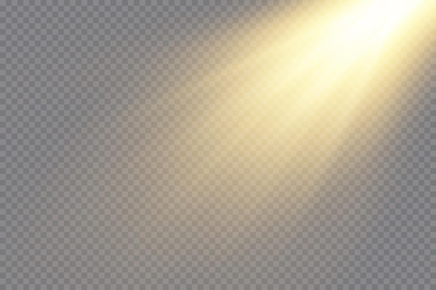 Focos vectoriales Escena Efectos de luz Rayos del sol