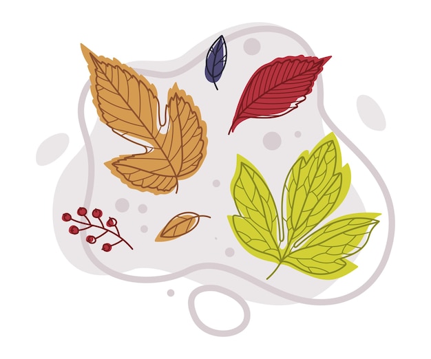 El follaje brillante de otoño con una composición vectorial de diferentes colores de hojas