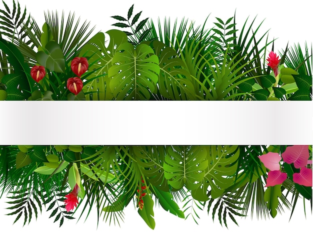 Vector follaje tropical con banner horizontal isolater