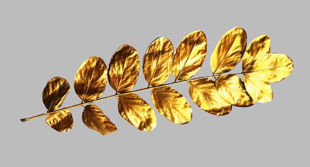 Folleto de volante de tarjeta de felicitación de diseño de invitación de hojas pintadas de oro de moda realista