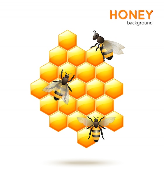 Vector fondo de la abeja de la miel