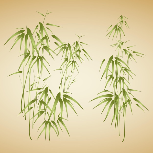 Vector fondo abstracto con bambú
