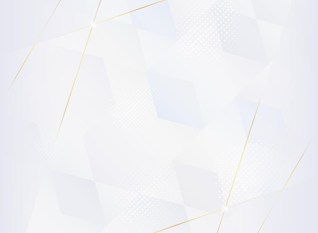 Fondo abstracto blanco y gris Ilustración vectorial para su diseño gráfico