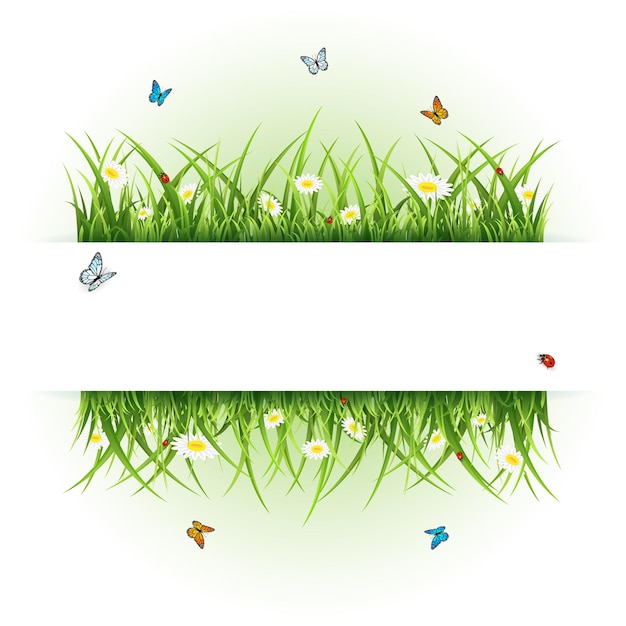 Fondo abstracto con flores mariposas y mariquitas ilustración