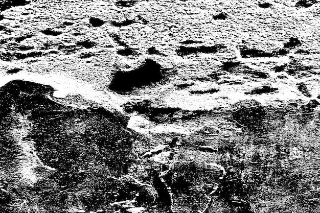 Fondo abstracto Textura monocromática La imagen incluye un efecto de tonos blancos y negros