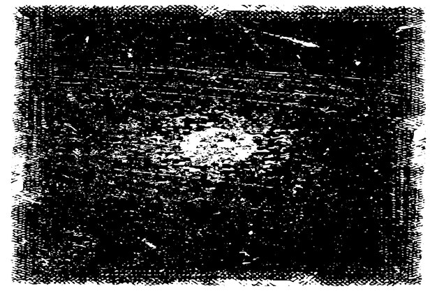 Fondo abstracto Textura monocromática La imagen incluye un efecto de tonos blancos y negros