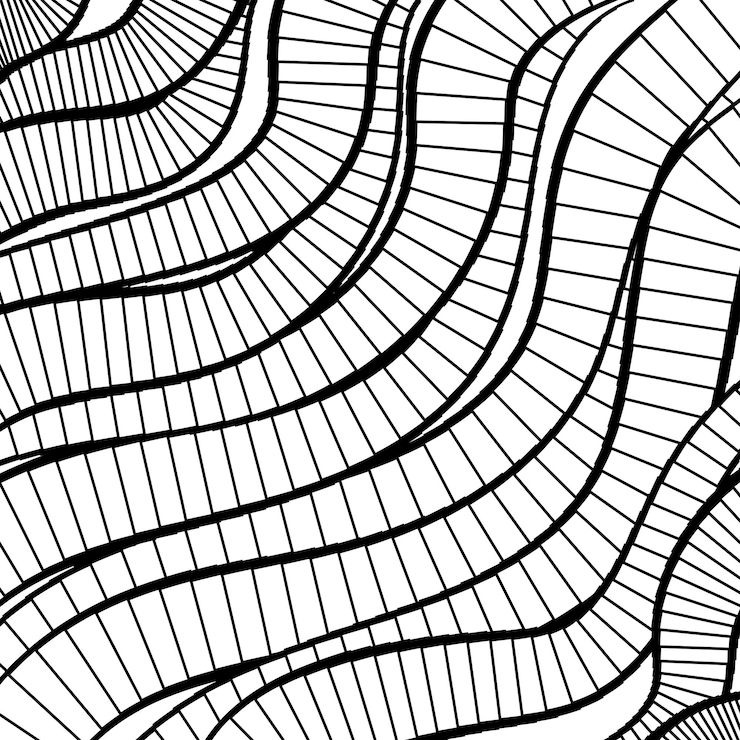 Vector fondo abstracto vectorial de líneas en colores blanco y negro