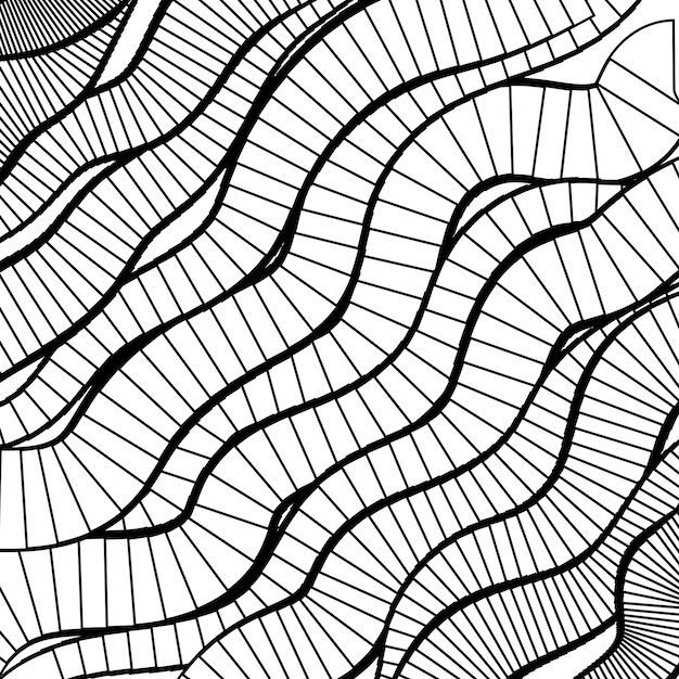 Fondo abstracto vectorial de líneas en colores blanco y negro