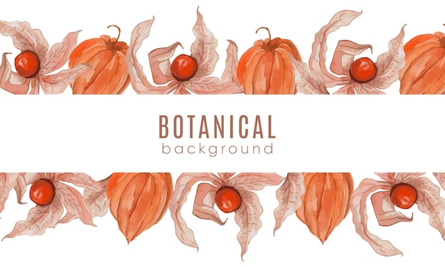 Vector fondo de acuarela con hermosa physalis