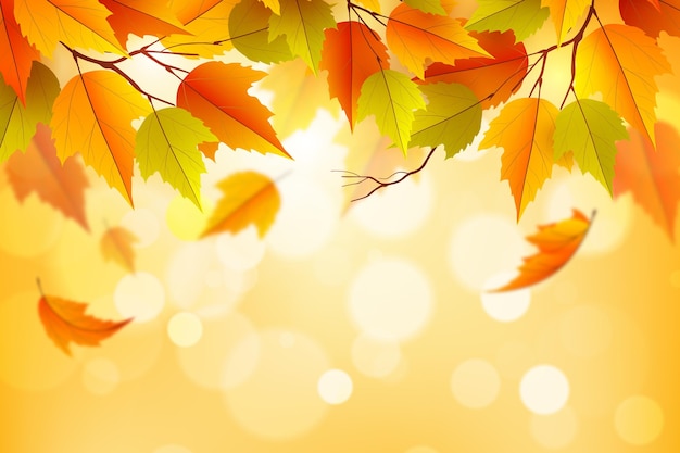 El fondo de la acuarela de otoño