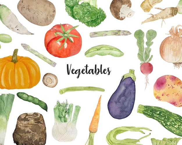 Fondo de acuarela con varias verduras sobre fondo blanco concepto de alimentación saludable