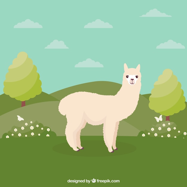 Fondo de alpaca gracioso