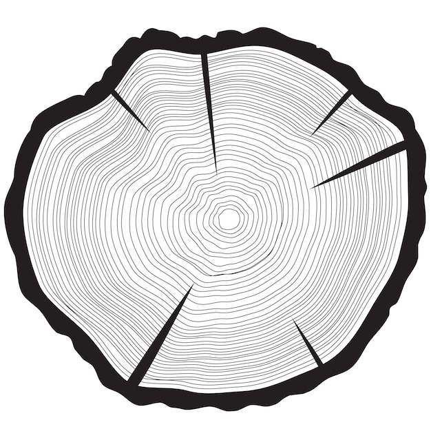 Fondo de anillos de árbol Ilustración de vector de árbol anual