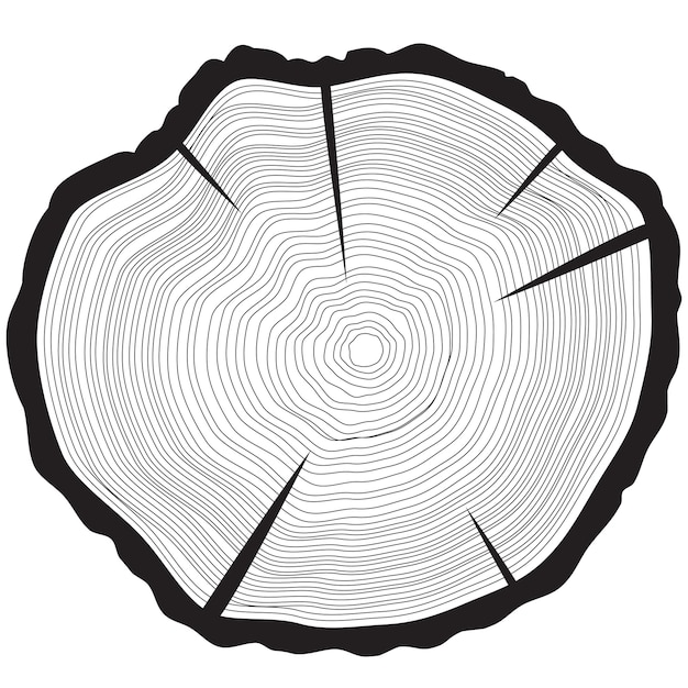 Fondo de anillos de árbol ilustración de vector de árbol anual