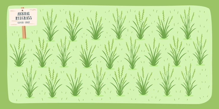 Vector fondo anual de hierba silvestre5