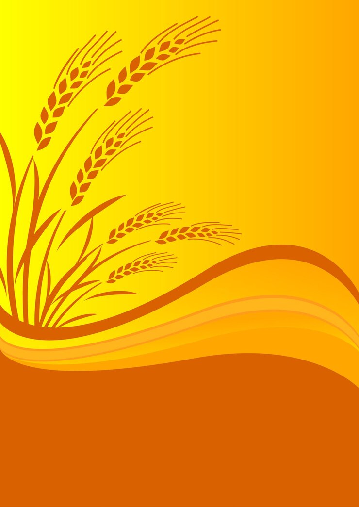 fondo de arroz