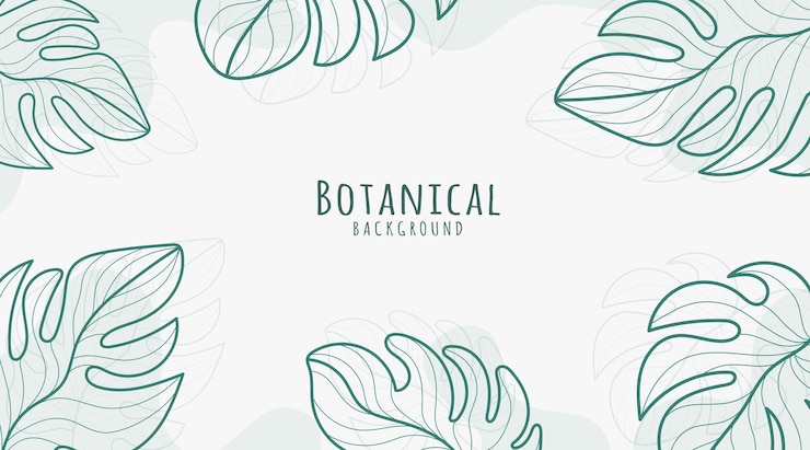 Vector fondo de arte de línea botánica fondo botánico fondo de hojas y flores