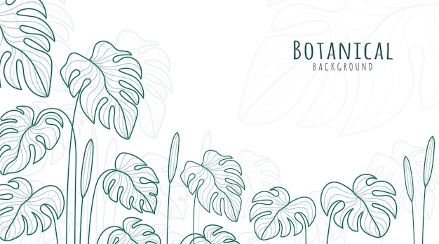 Fondo de arte de línea botánica Fondo botánico Fondo de hojas y flores