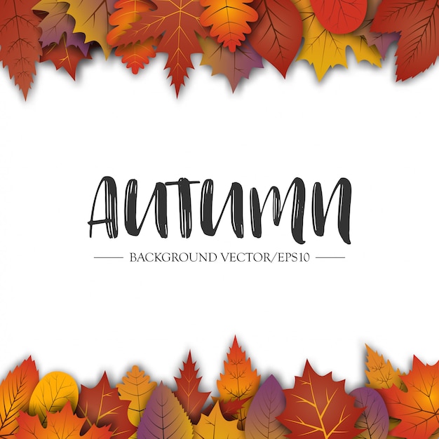 Un fondo artístico abstracto del tema del otoño. Hojas de otoño sobre papel blanco.