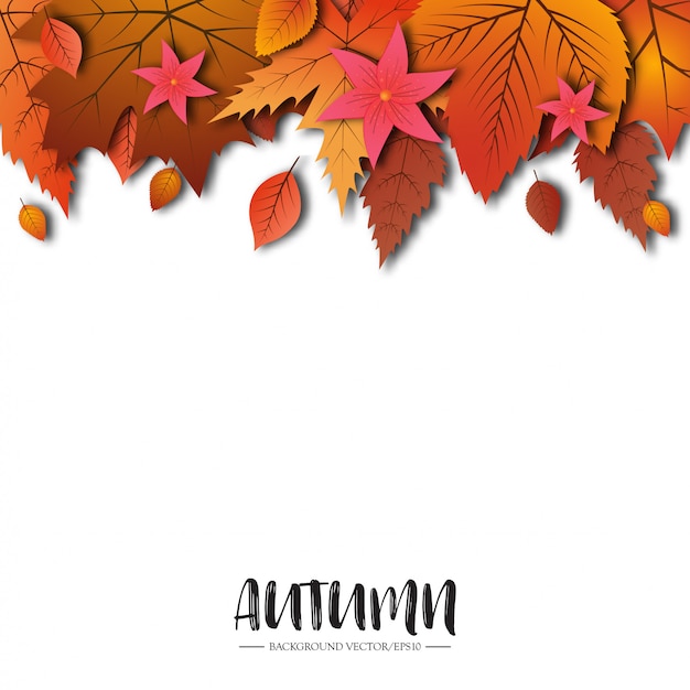 Un fondo artístico abstracto del tema del otoño. Hojas de otoño sobre papel blanco.