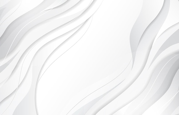 fondo blanco 1