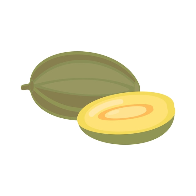 En un fondo blanco, se aísla un melón fresco entero Para cualquier diseño, una ilustración vectorial