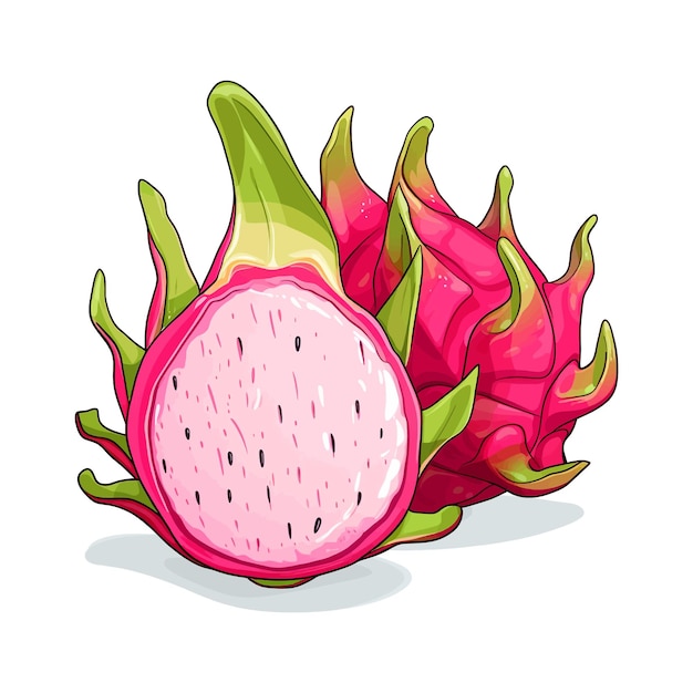 Vector fondo blanco aislado de fruta de dragón dibujado a mano