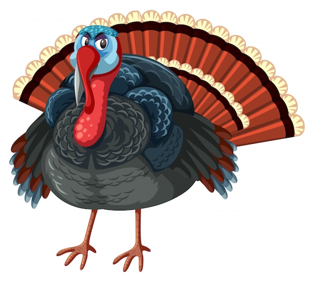 Vector fondo blanco grande de pavo