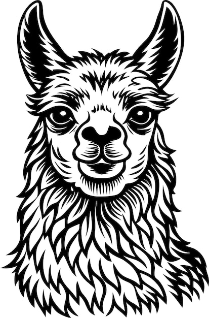 el fondo blanco de la llama