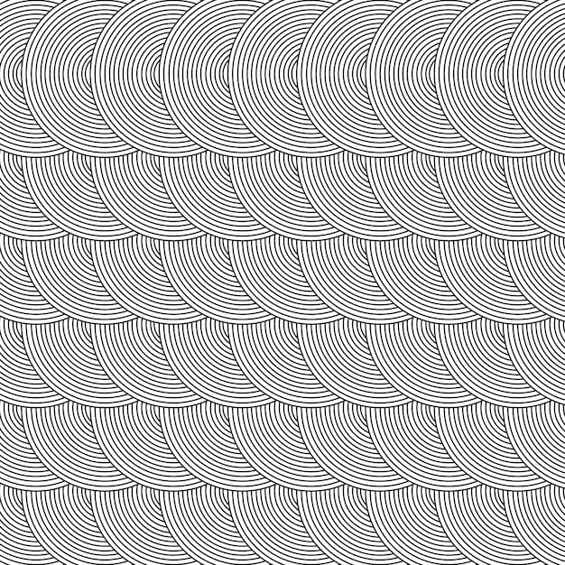 fondo blanco y negro