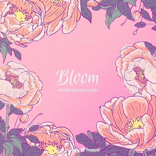 Fondo bloom de flores peonía