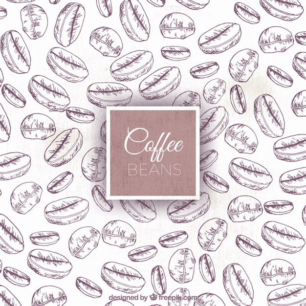 Fondo de bocetos de granos de café