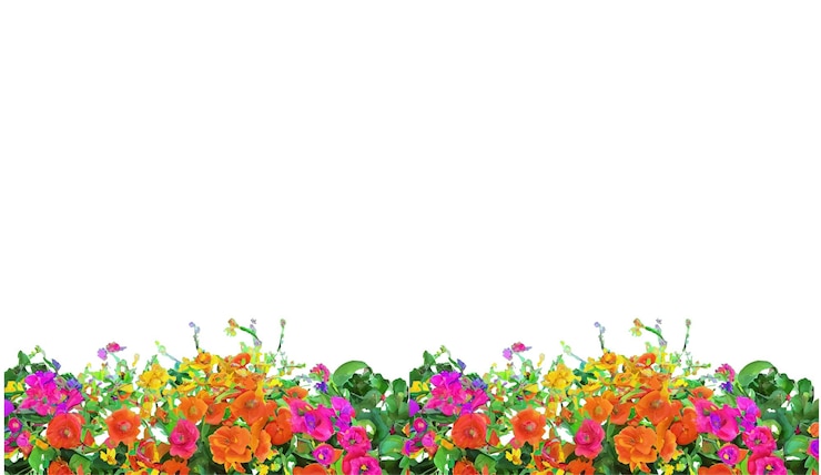 Vector fondo de borde de flores multicolor