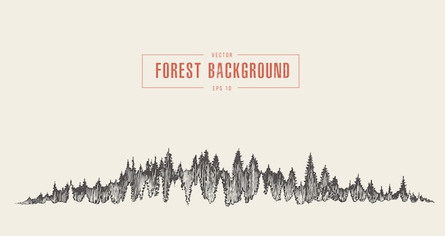Fondo de bosque de pinos, ilustración vectorial, dibujado a mano, boceto