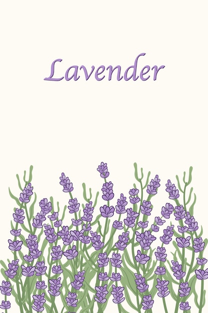 Fondo botánico de moda con flores de lavanda púrpura en la parte inferiorConcepto de plantilla para postales